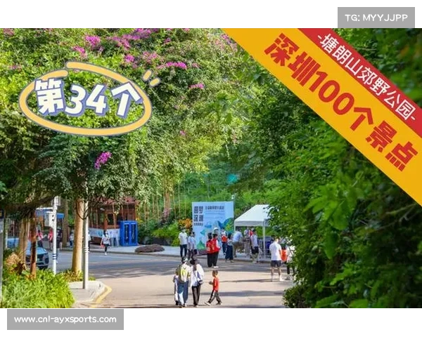 深圳塘朗山夜跑联合登山活动双阁路线成暑期新晋热门健身路线 深圳塘朗山夜跑联合登山活动双阁路线成暑期新晋热门健身路线